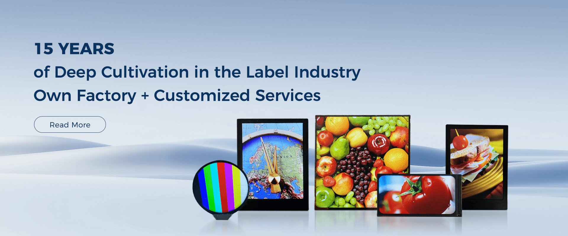 LCD Module manufacturer