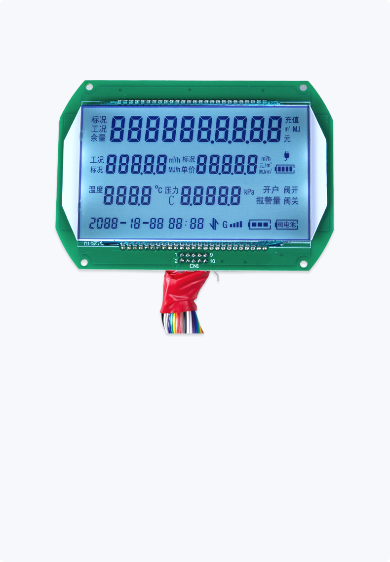 Custom LCD Module