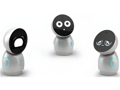 Circular TFT LCD for AI Toys