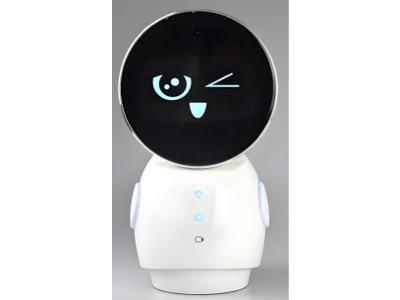 Circular TFT LCD for AI Toys