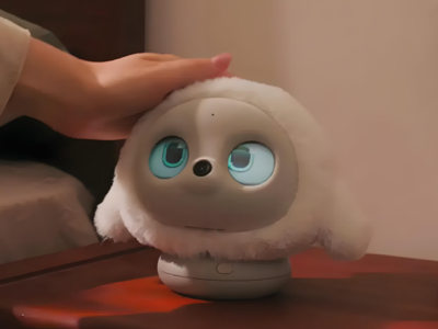 Circular TFT LCD for AI Toys