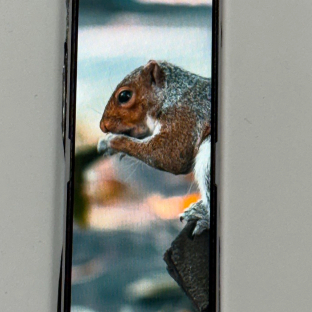 7-inch ultra-wide elongated display